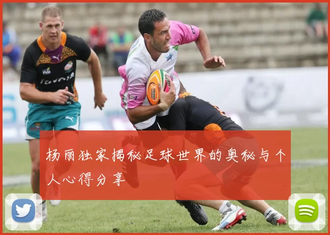 杨丽独家揭秘足球世界的奥秘与个人心得分享