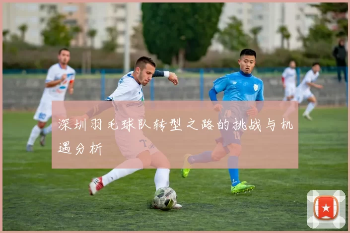 深圳羽毛球队转型之路的挑战与机遇分析