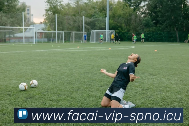 开云体育服务体系